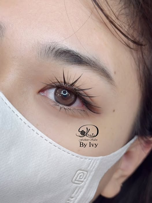 【台南中式美睫】蝶系漫畫被點播的頻率也太高了