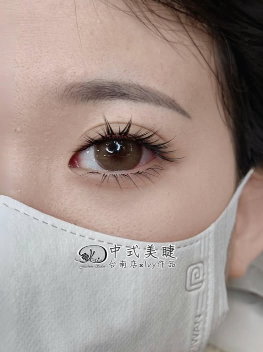 【台南中式美睫】落尾蝶系漫畫 喜歡這種款式嗎